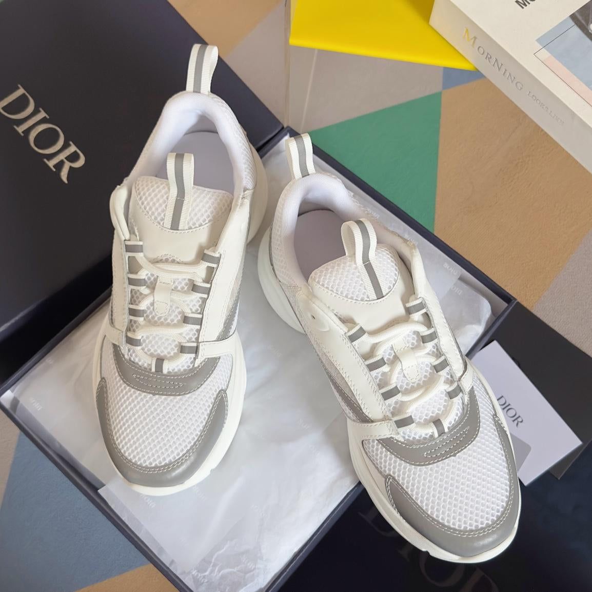 Dior B22 