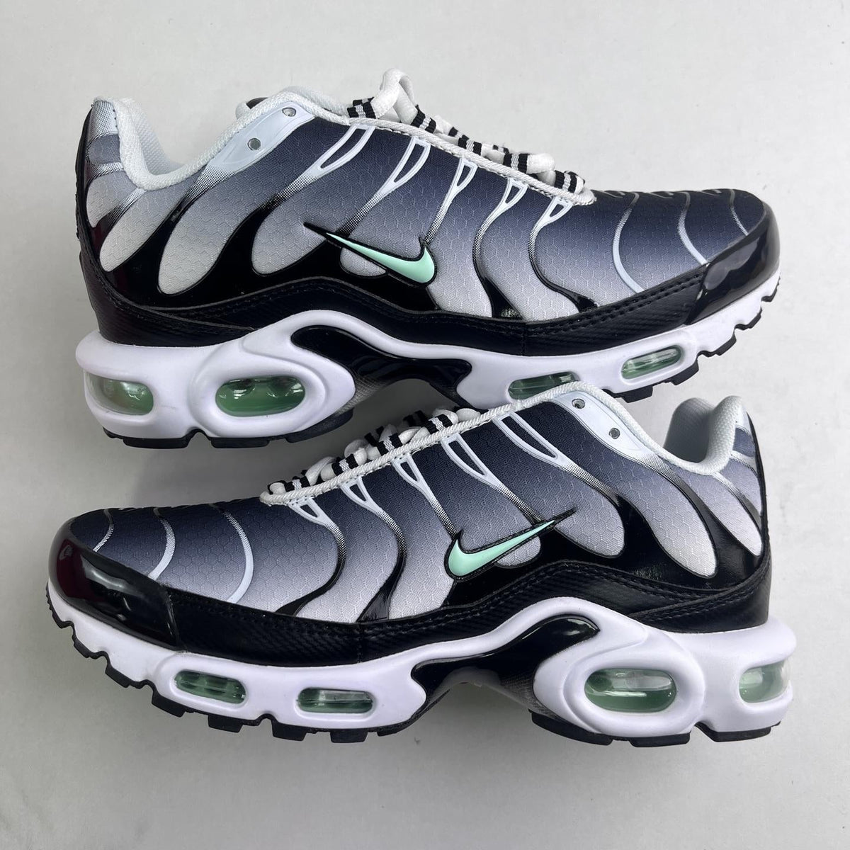 Nike Air Max Plus Tn 