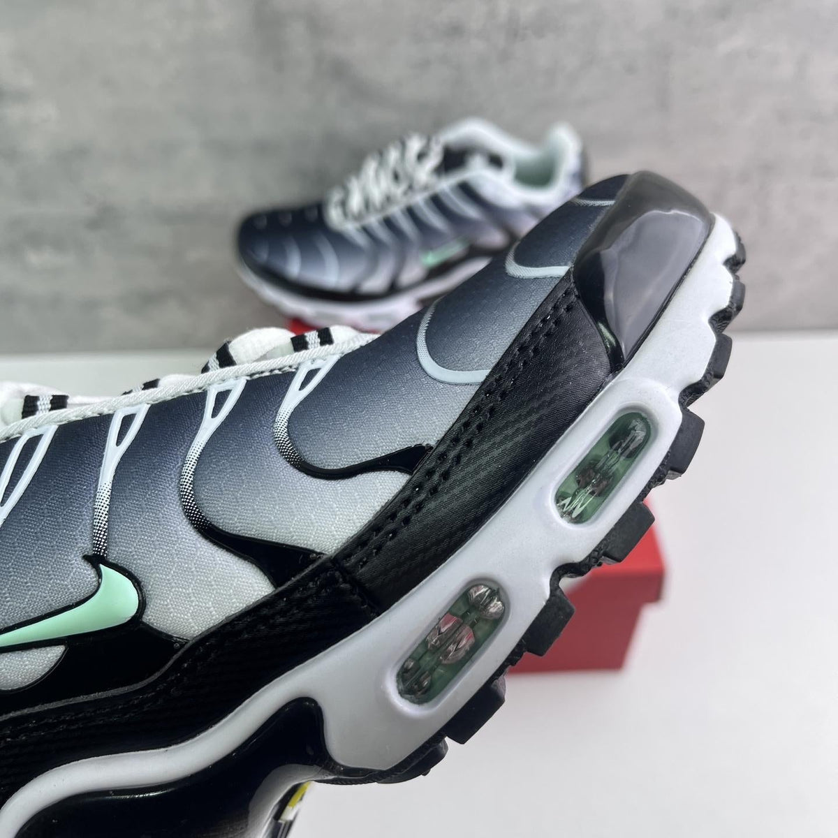 Nike Air Max Plus Tn 