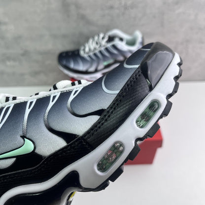 Nike Air Max Plus Tn 