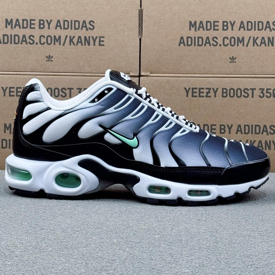 Nike Air Max Plus Tn 