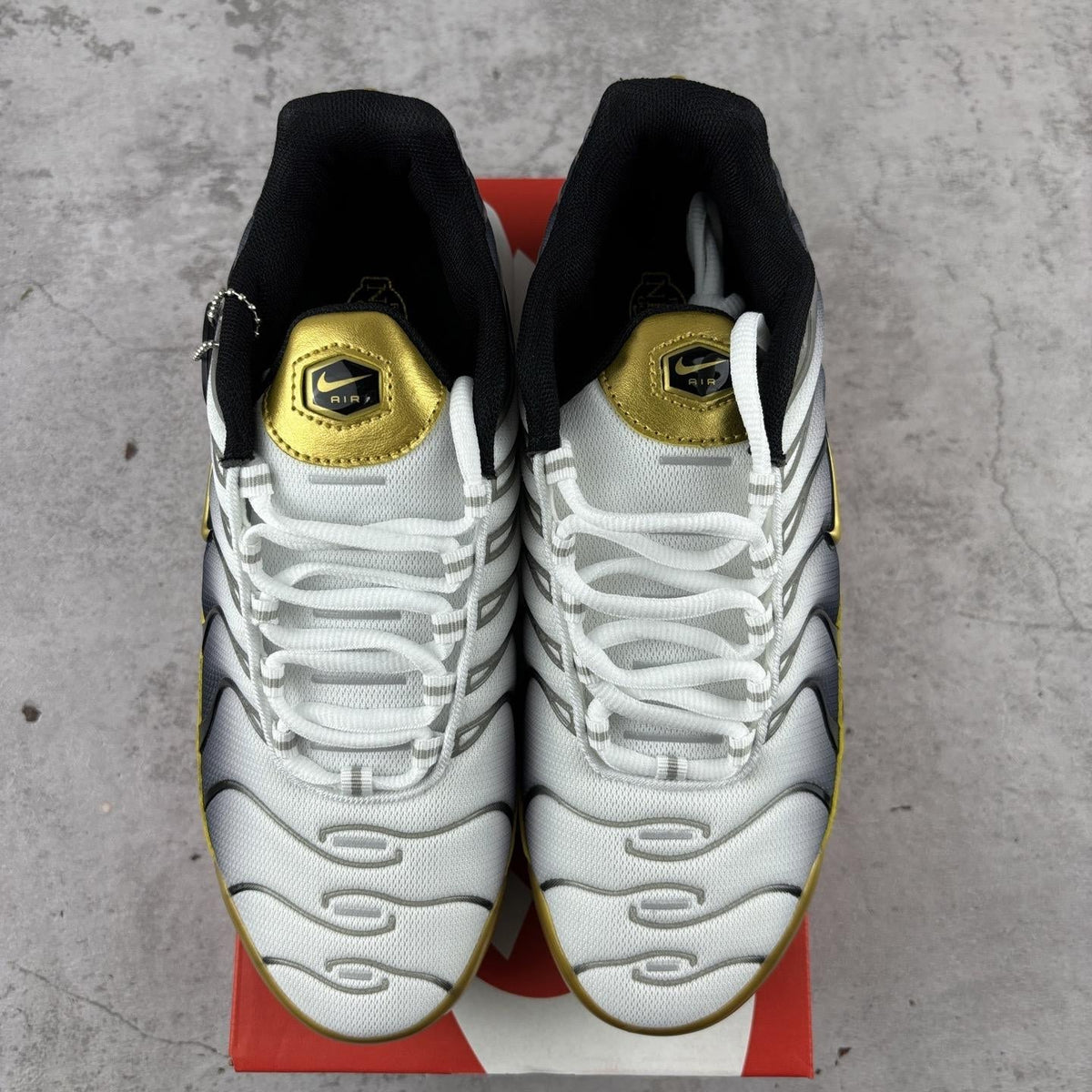 Nike Air Max Plus Tn 