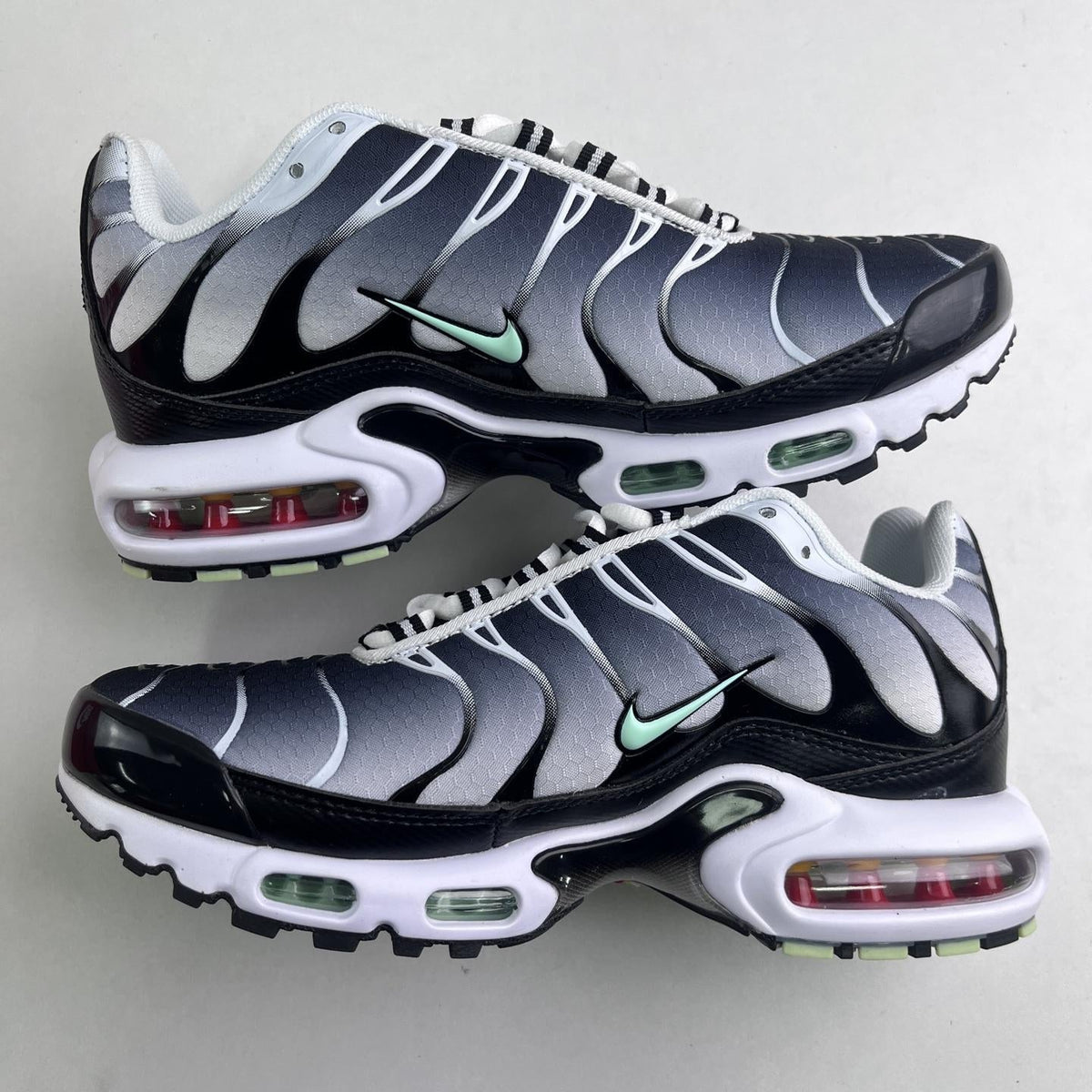 Nike Air Max Plus Tn 