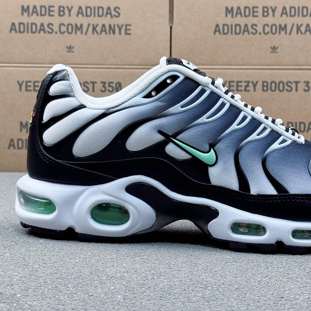Nike Air Max Plus Tn 